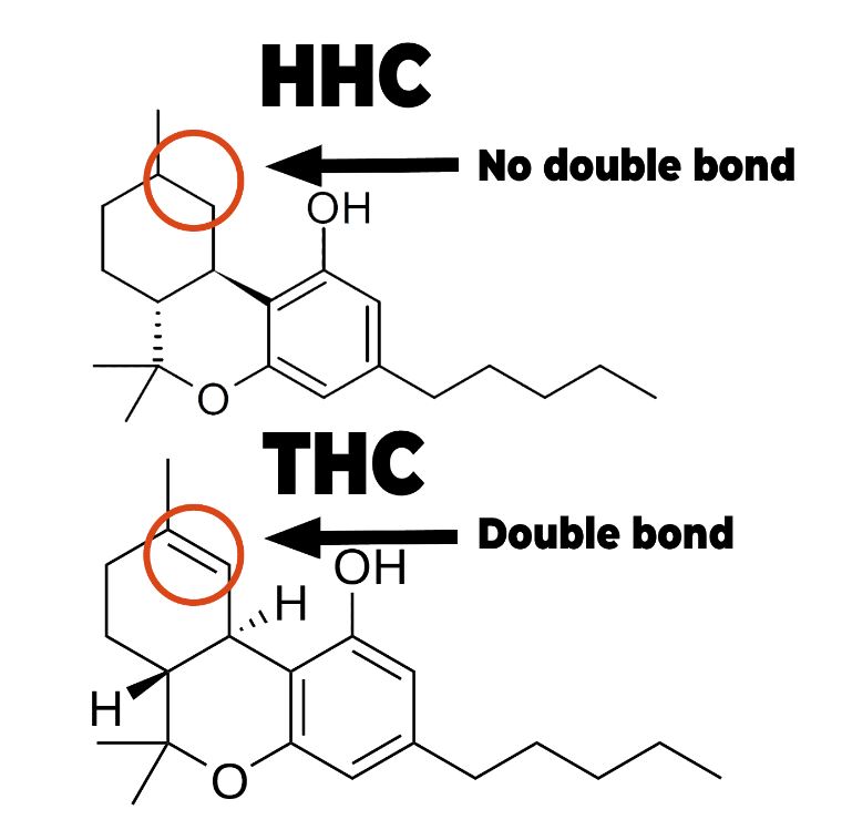 THC vs HHC